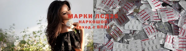 дмт Алексин