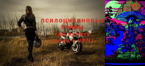 МДПВ Алзамай