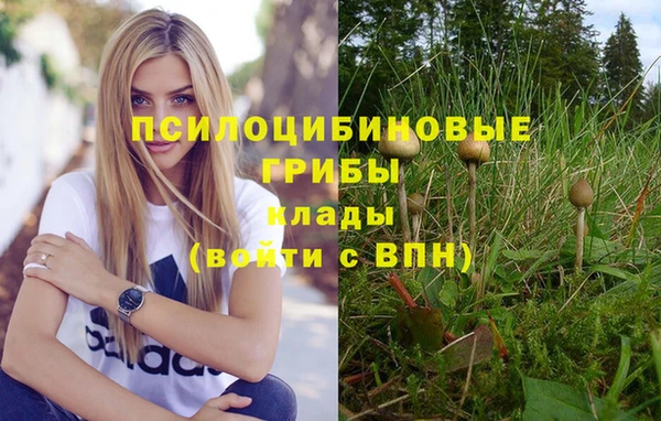 МДПВ Алзамай
