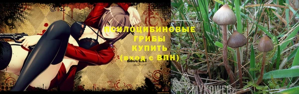дмт Алексин